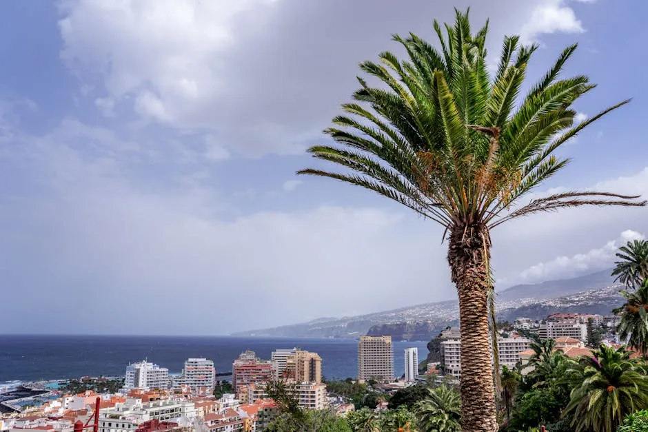 Meta's New Ray-Ban AI Glasses Clear FCC Hurdle, Launch Imminent placeholder image