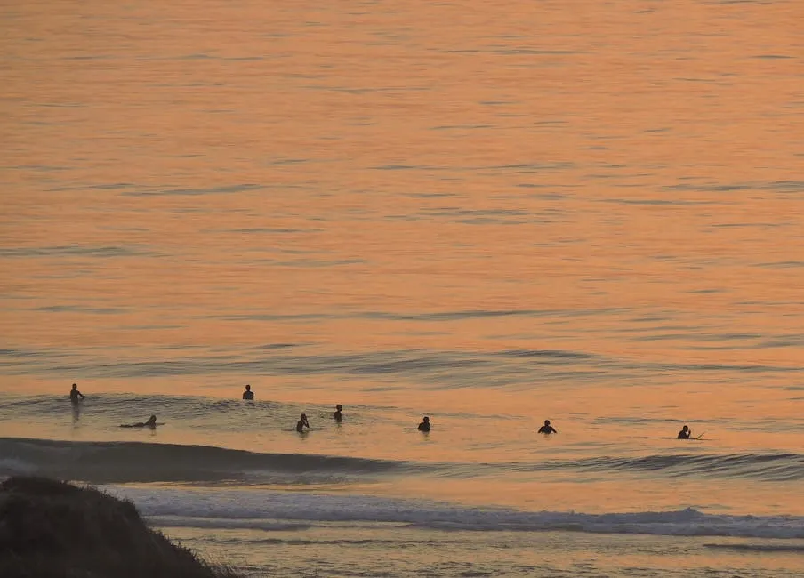 Unraveling the Mystery of Cole Allen: The Guest Who Disrupted the D.C. Correspondents Dinner placeholder image